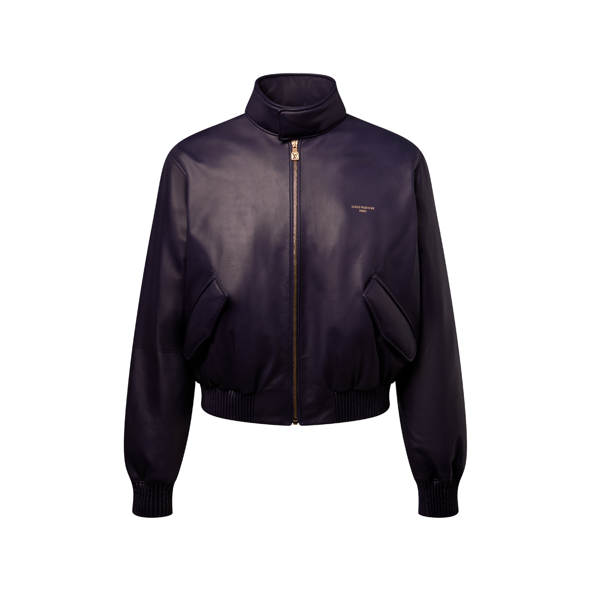 パデッド レザーブルゾン ｜ルイ・ヴィトン 公式サイト - 1AJVGA